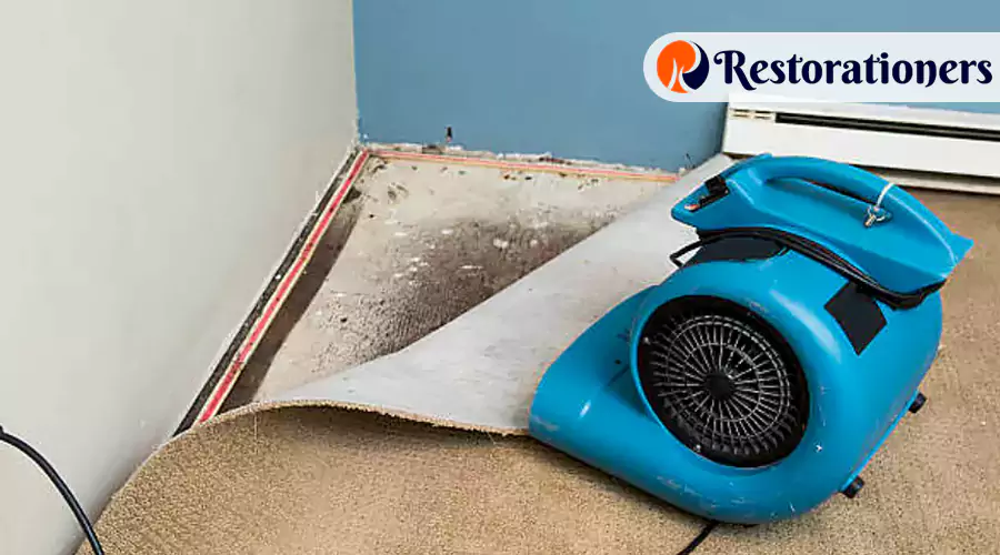 Choosing a Trusted Water Mitigation Partner