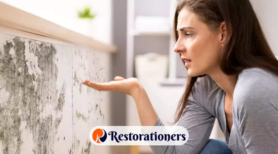 How to Handle Mold Safely: A Professional Guide for Homeowners