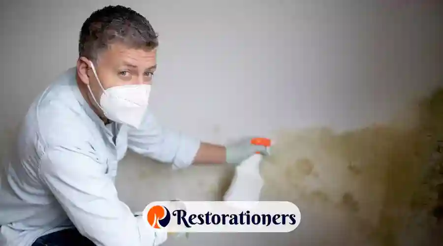 What to Spray to Prevent Mold after Water Damage