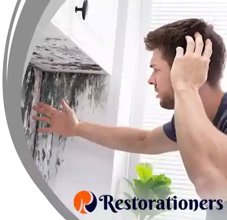 Mold Remediation