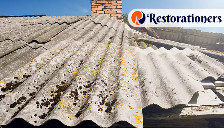 Best Asbestos Abatement in Arlington, Texas