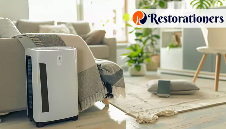 Best Dehumidification Services in Arlington, TX