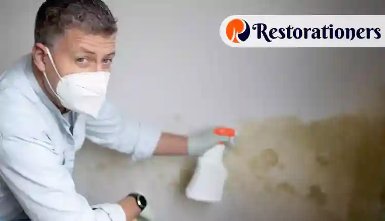 Mold Mildew Remediation