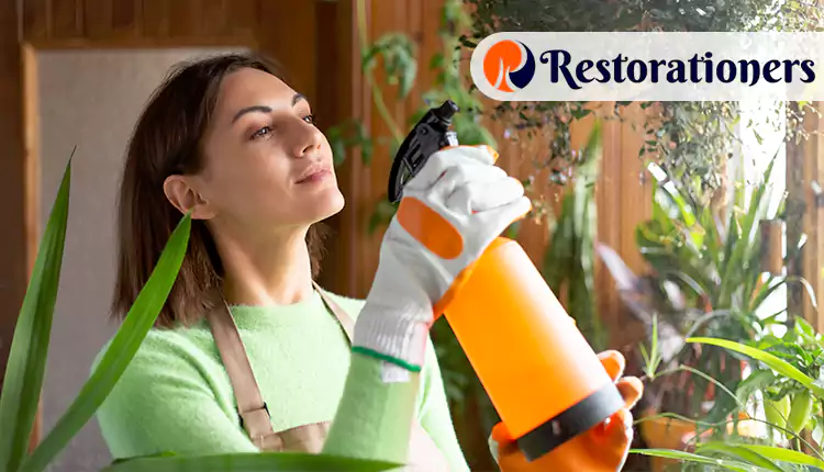 How We Tackle Odor Removal in Arlington, TX: A Step-by-Step Process