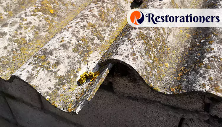 Unmatched Asbestos Abatement Services We Offer in Arlington, TX