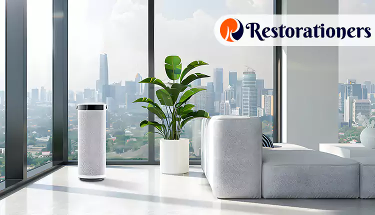 Unmatched Dehumidification Services We Offer in Arlington, TX