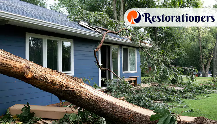 Serving Arlington, TX and Nearby Areas 