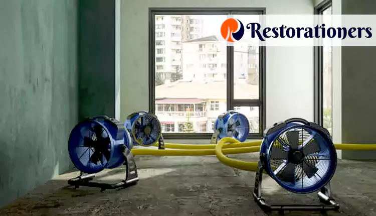 Types of Dehumidification Services We Offer in San Antonio, TX