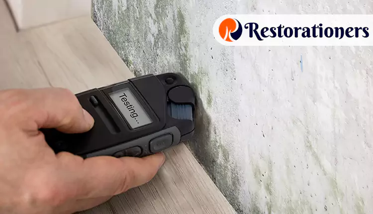 Our Mold Remediation Services in San Antonio, TX