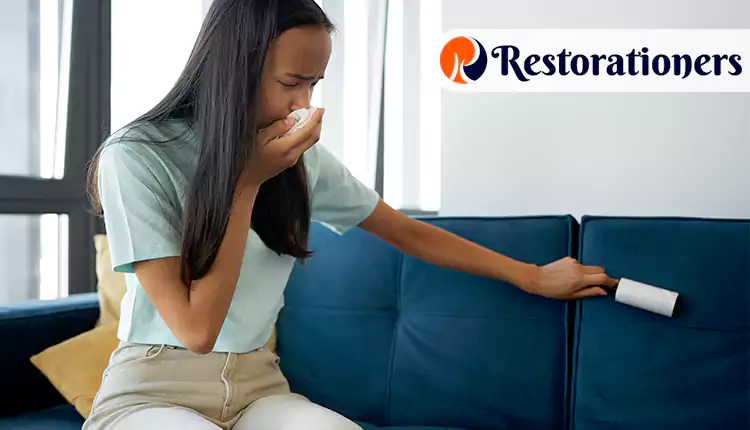 Why Should You Choose Us for Your Odor Removal Needs in Arlington, TX?