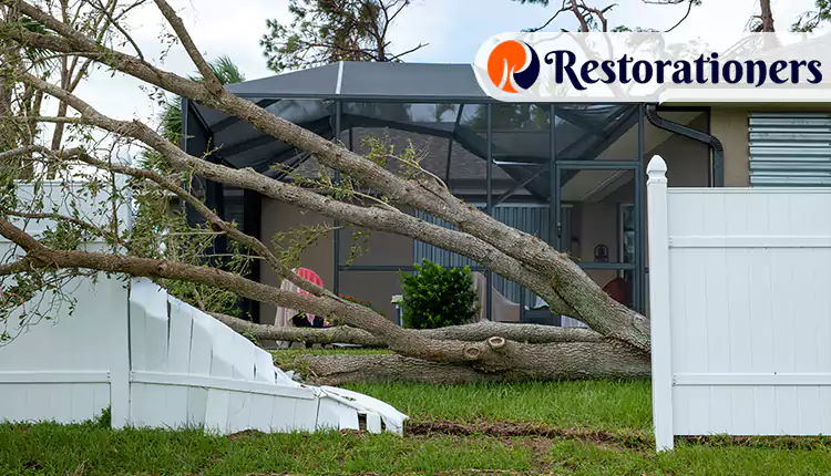 Storm Damage Restoration Services in Arlington, TX