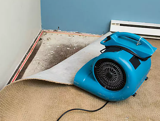 Why Choose Us for Dehumidification in San Antonio, TX?