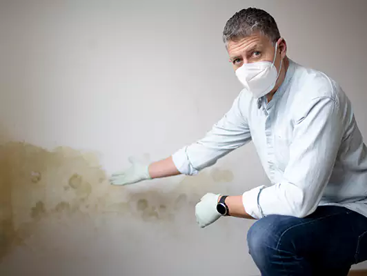 Why Choose Us for Mold Remediation in San Antonio, TX?